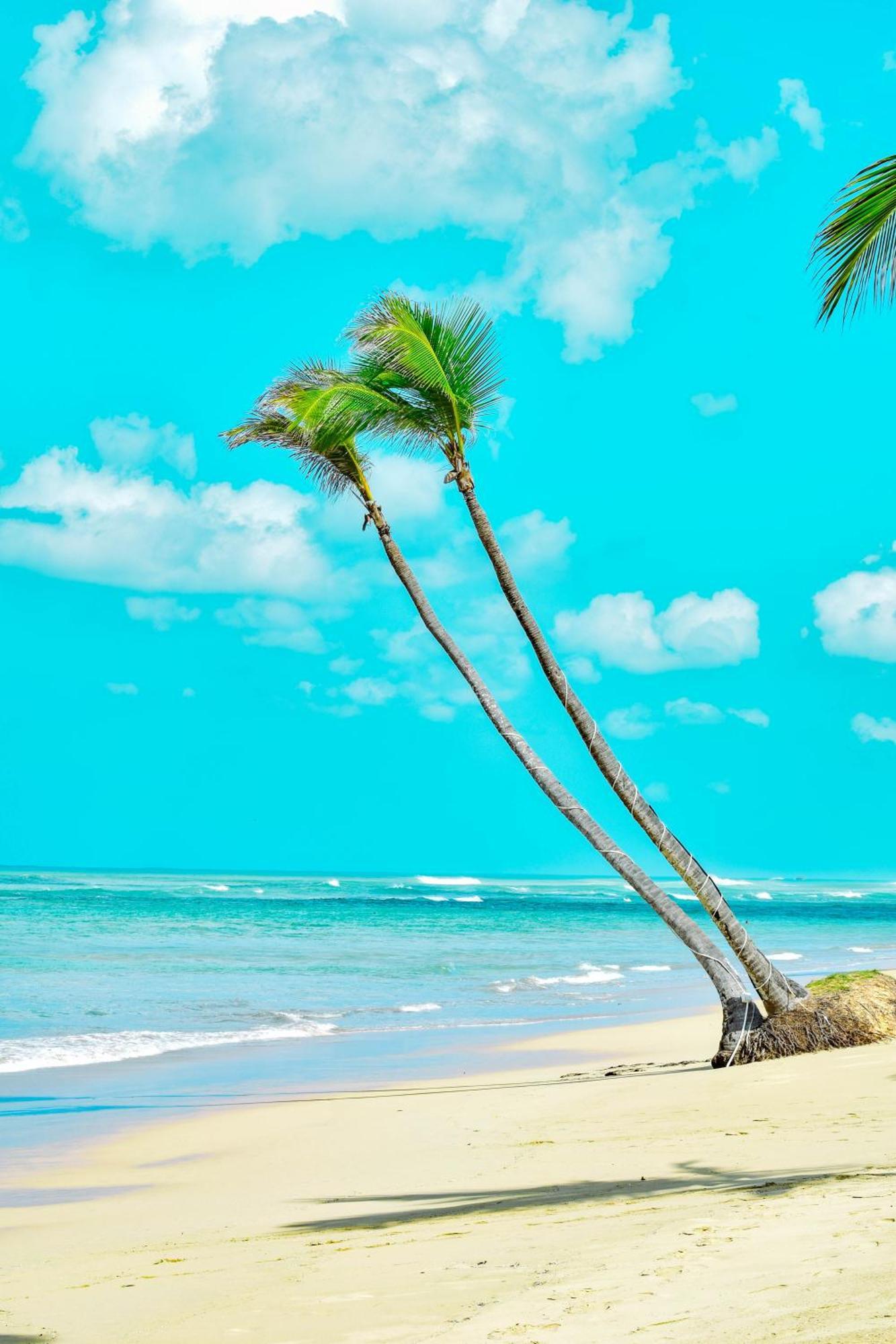 Playa Palmera Beach Resort Punta Cana Exterior foto